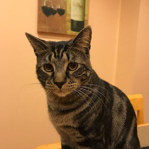 Meet your Posher, Lana